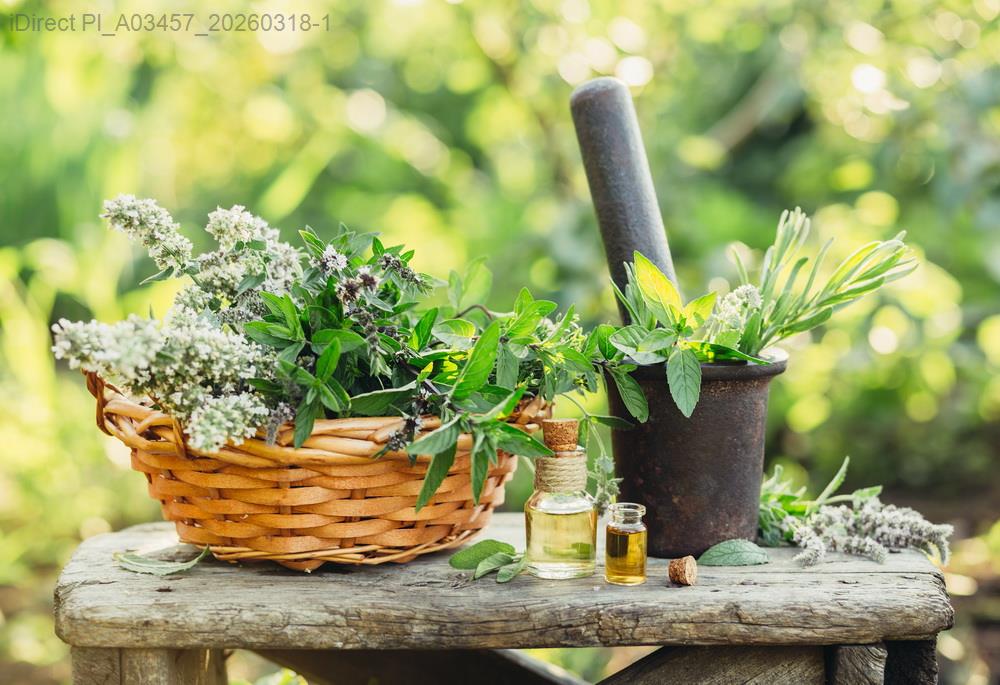 揭開物流迷霧：當你點擊「購買」時，其實已經掉進這些深坑？